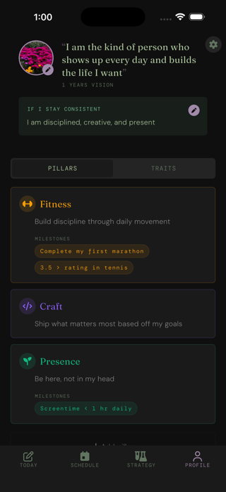 Screenshot of more.me's Profile view, showing three life pillars with milestones and an identity statement.