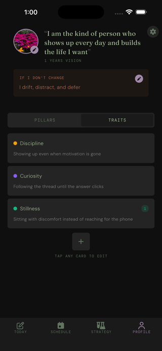 Screenshot of more.me's Profile view showing personal traits: Discipline, Curiosity, Stillness.